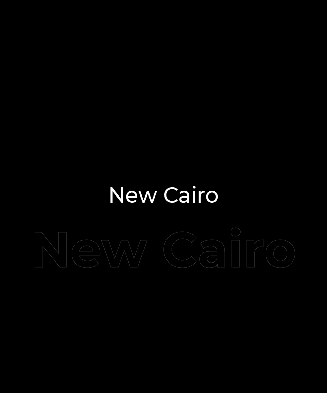 القاهرة الجديدة